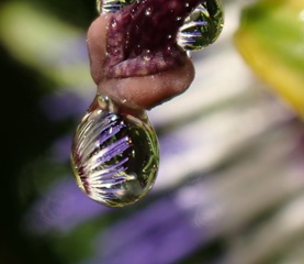 P1134831a.jpg